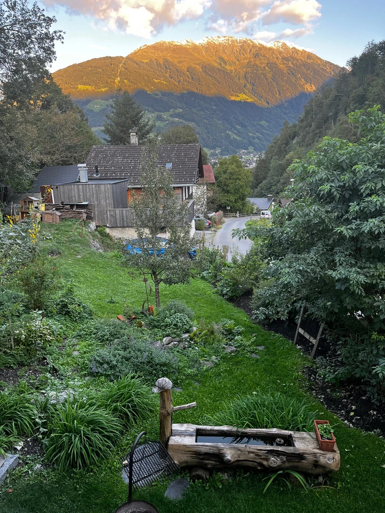 Image uploaded by Phil