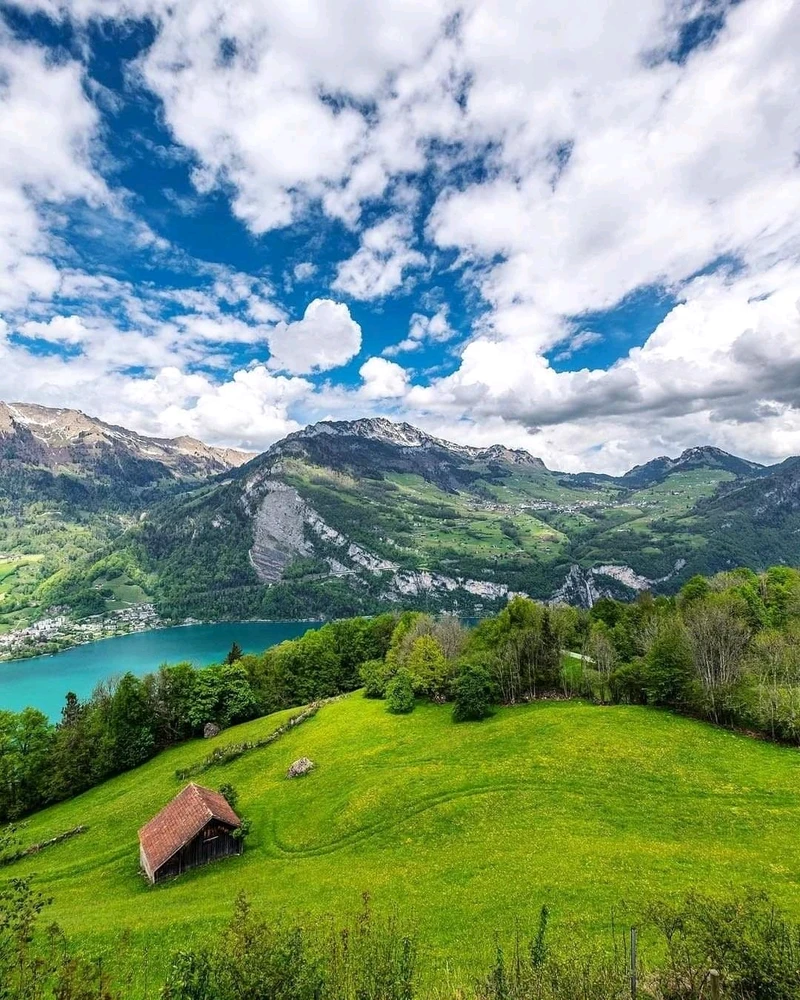 Image uploaded by Jan said