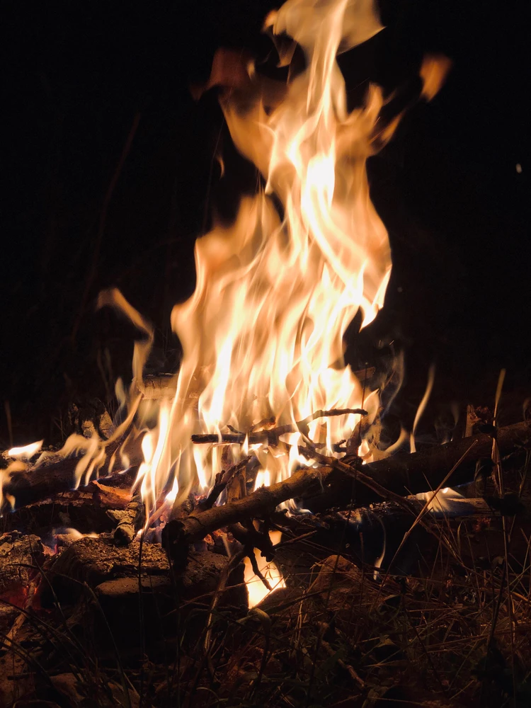 تصویر آپلود شده توسط Mohammadreza