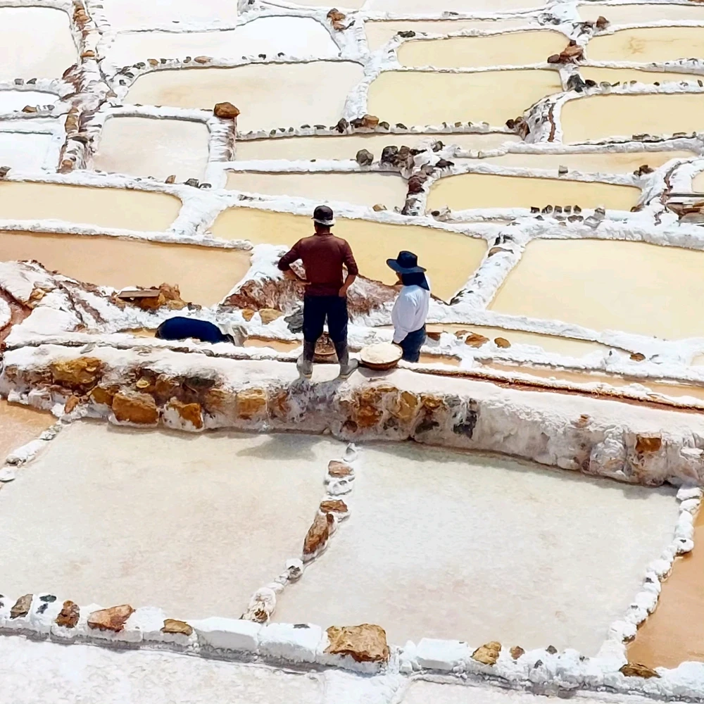 Imagem enviada por Alexandre