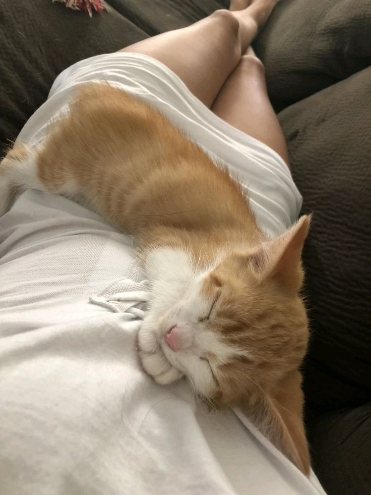 Image uploaded by Ella