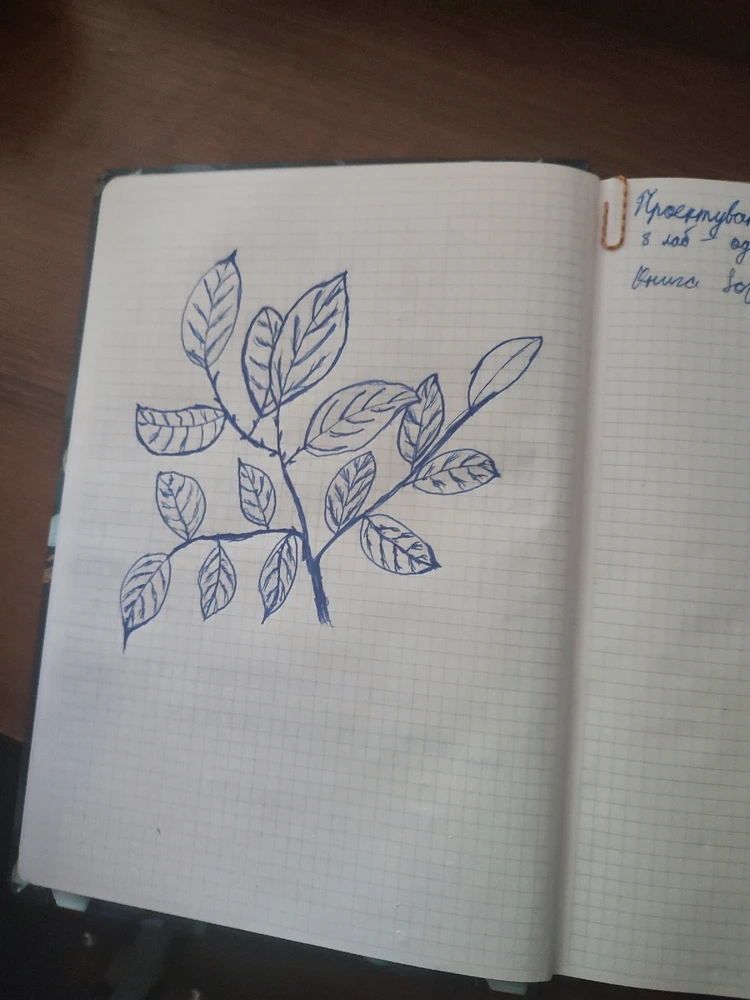 Зображення завантажив Тарас