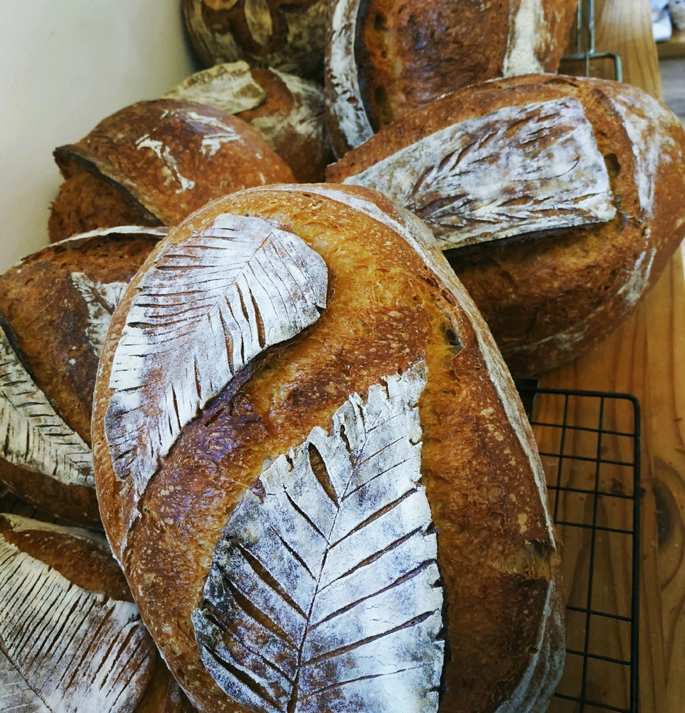 Image uploaded by Yuli