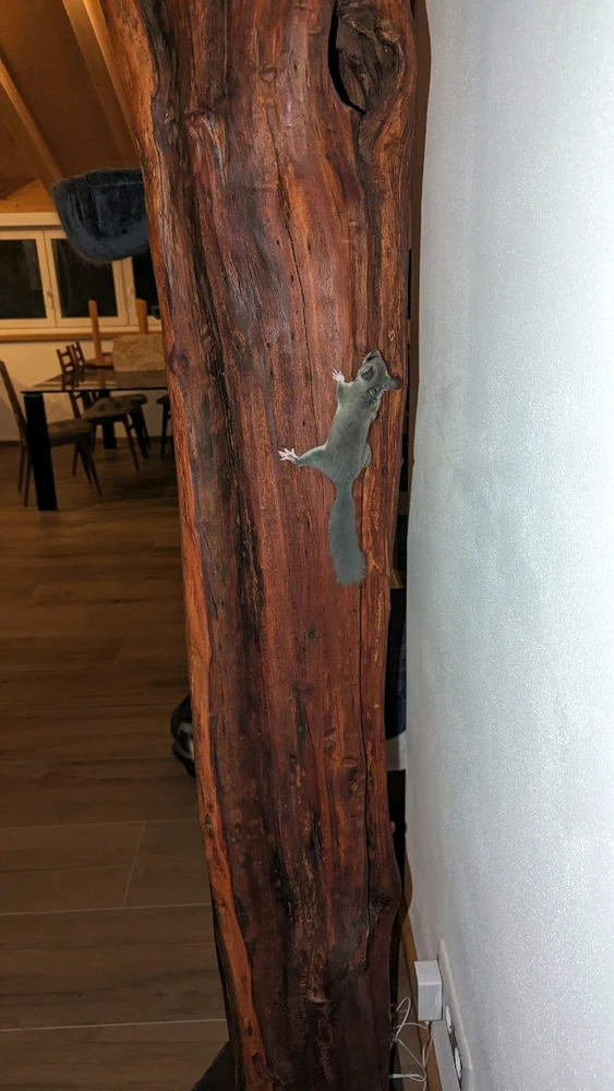 Bild hochgeladen von Jürgen