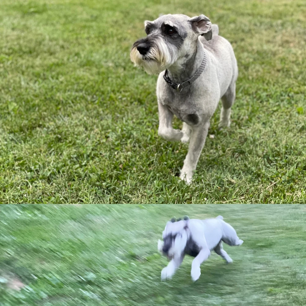 Image uploaded by Doug