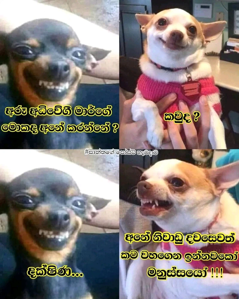 Mahesh Samantha විසින් උඩුගත කළ රූපය