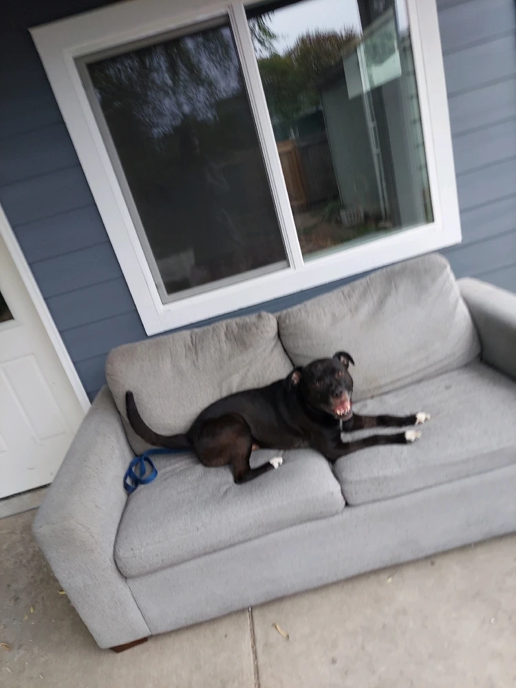 Image uploaded by Tony