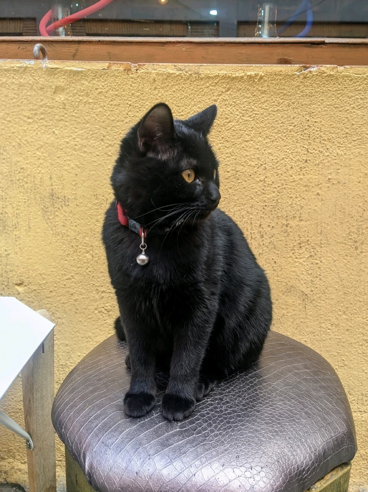 Image uploaded by Simon