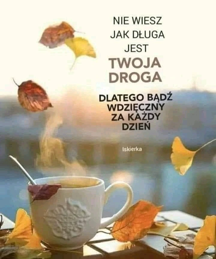 Image uploaded by Marcin Miszczak (Poland 🇵🇱 )