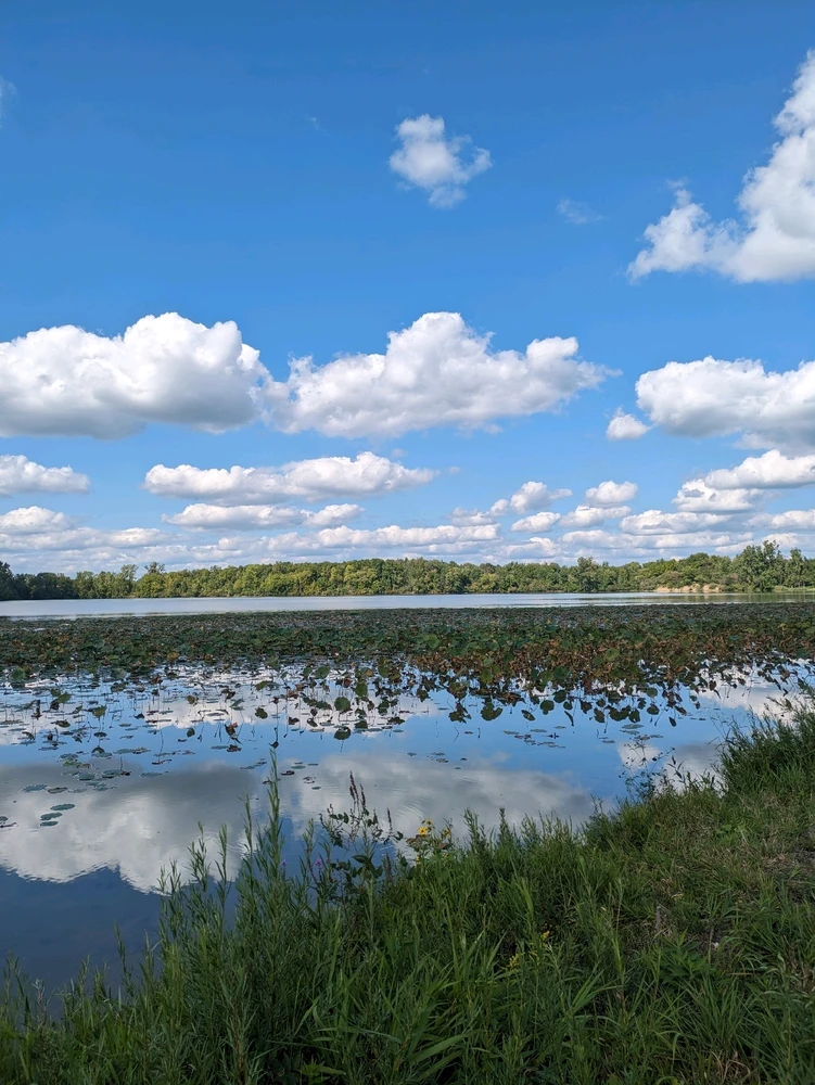 Image uploaded by cassie