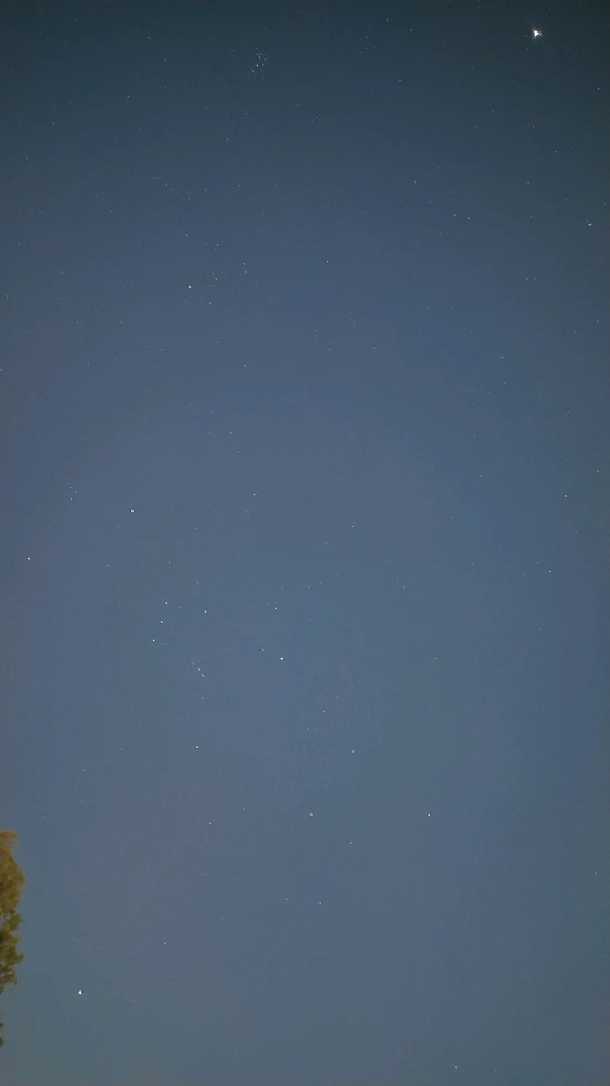 Pleiades and Jupiter at the top; Orion constellation at the center and Sirius at the bottom left.