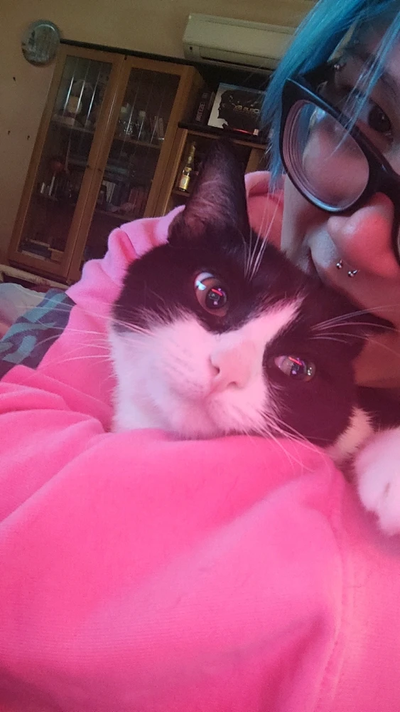 Immagine caricata da Arabaki