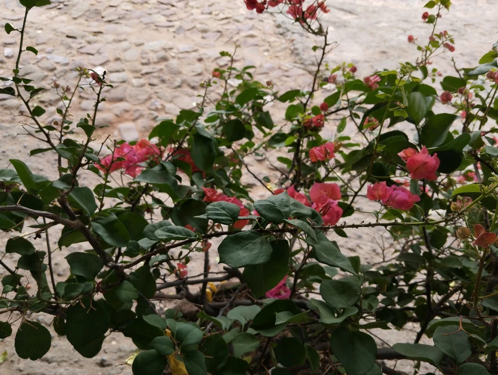 Imagen subida por Gabriel