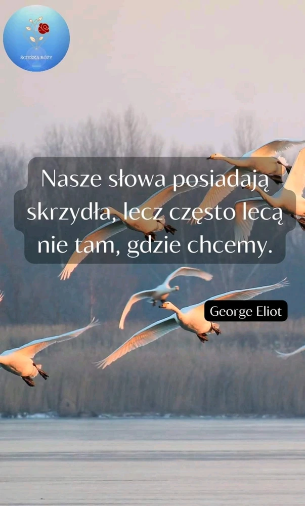 Zdjęcie dodane przez Marcin Miszczak (Poland 🇵🇱 )