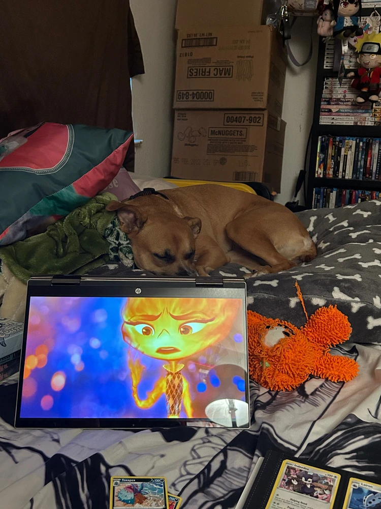 Image uploaded by Saul Jose Carranza