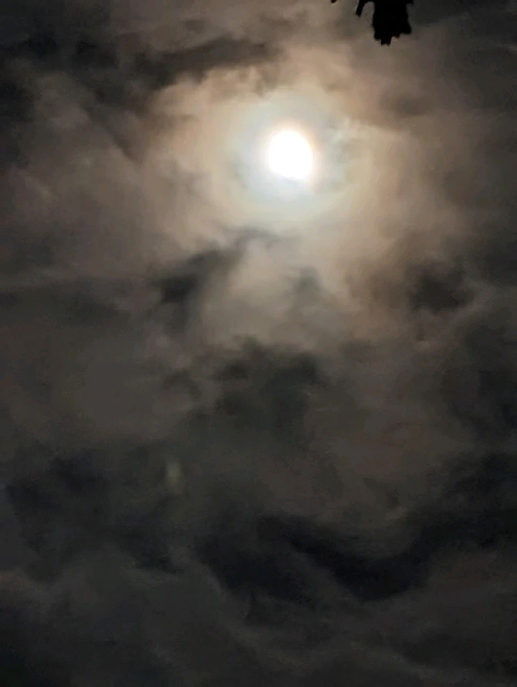 Image uploaded by Porsha