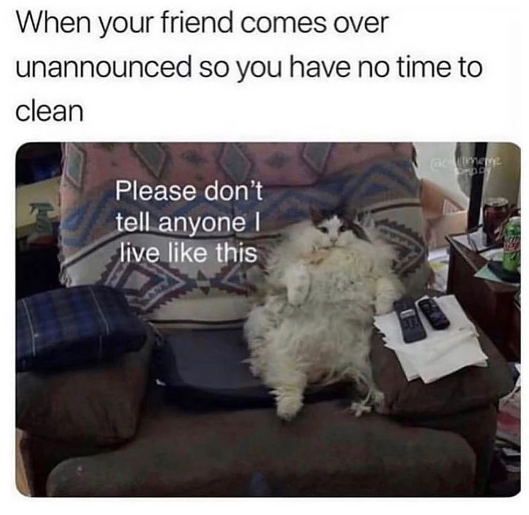 Image uploaded by Anna