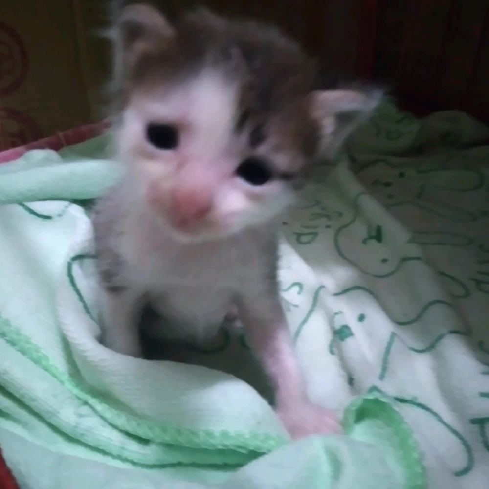 Image uploaded by Rim