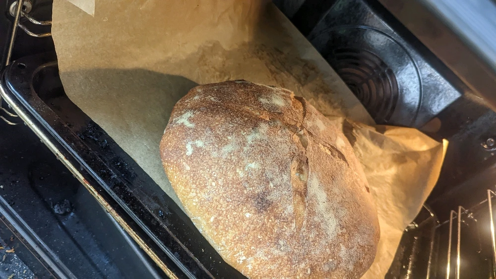 Image uploaded by piper