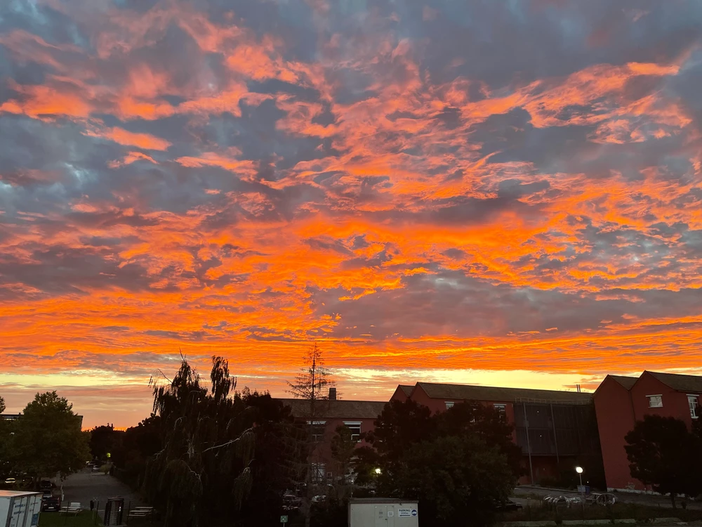 Lever du soleil ciel orangé