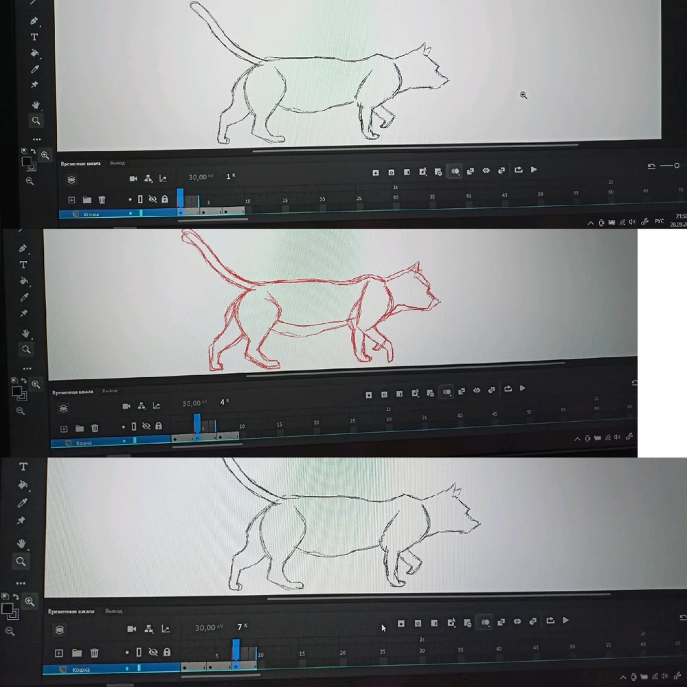 Фото загрузил Nastya Orex