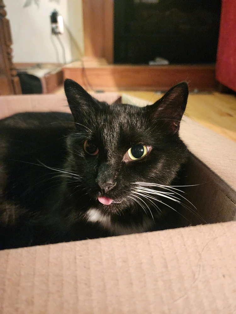 Image uploaded by Kia