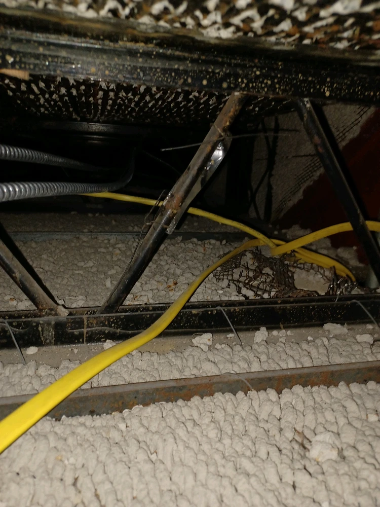 Image uploaded by Ken