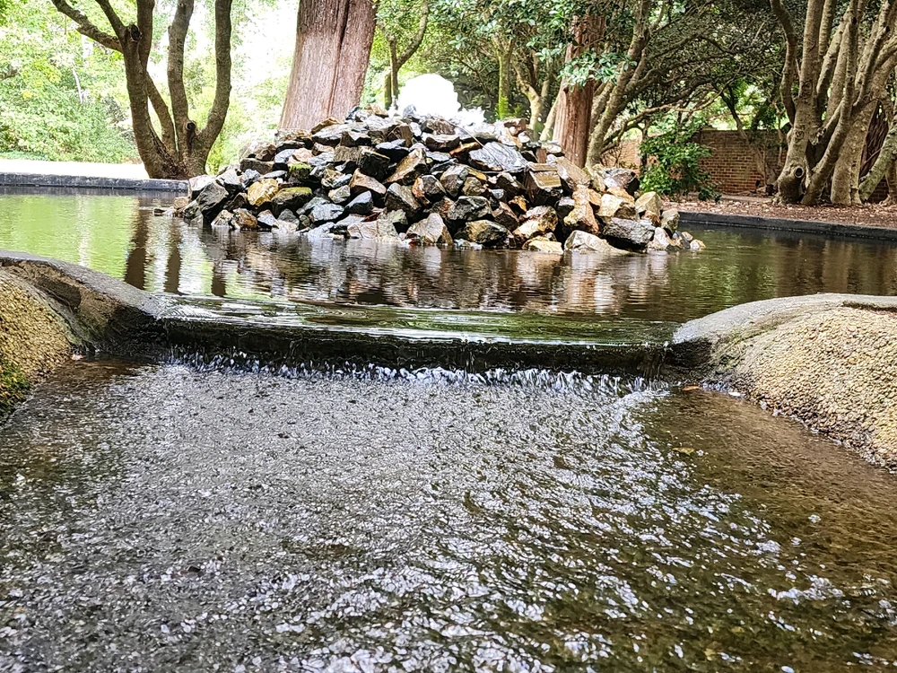 Image uploaded by Hannah