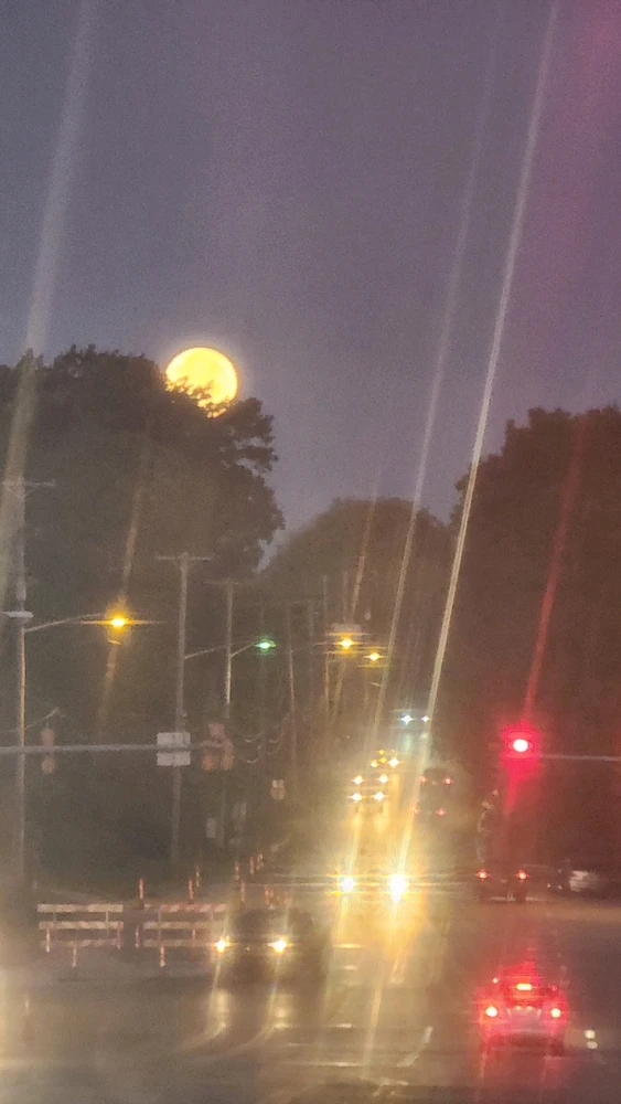 Image uploaded by Andrea