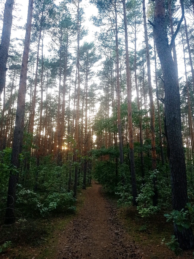 Zdjęcie dodane przez HappySad