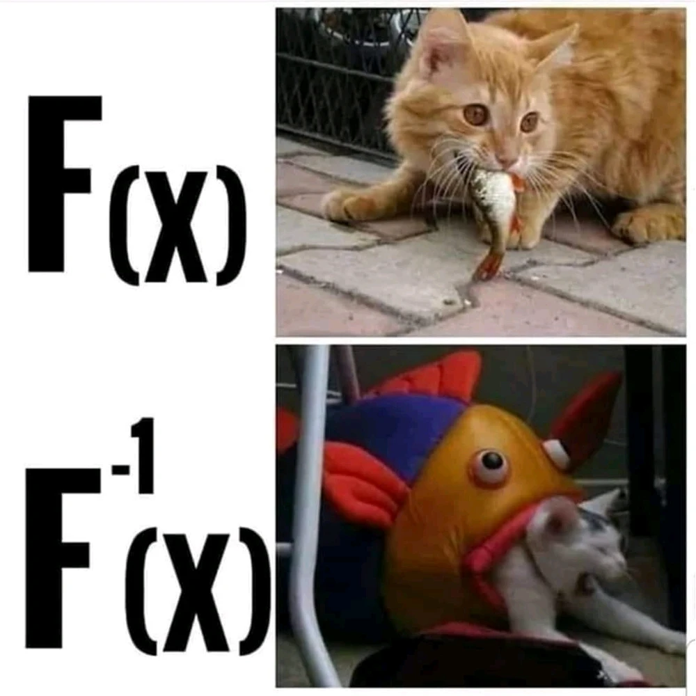 Image uploaded by Brahimus