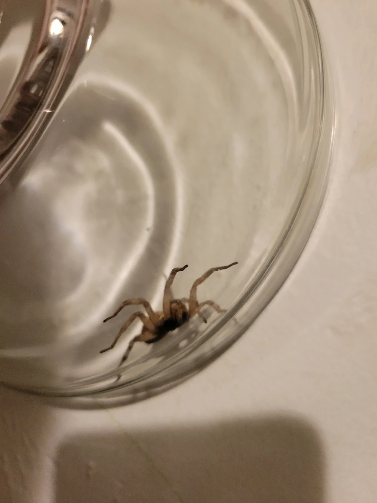 Image uploaded by April