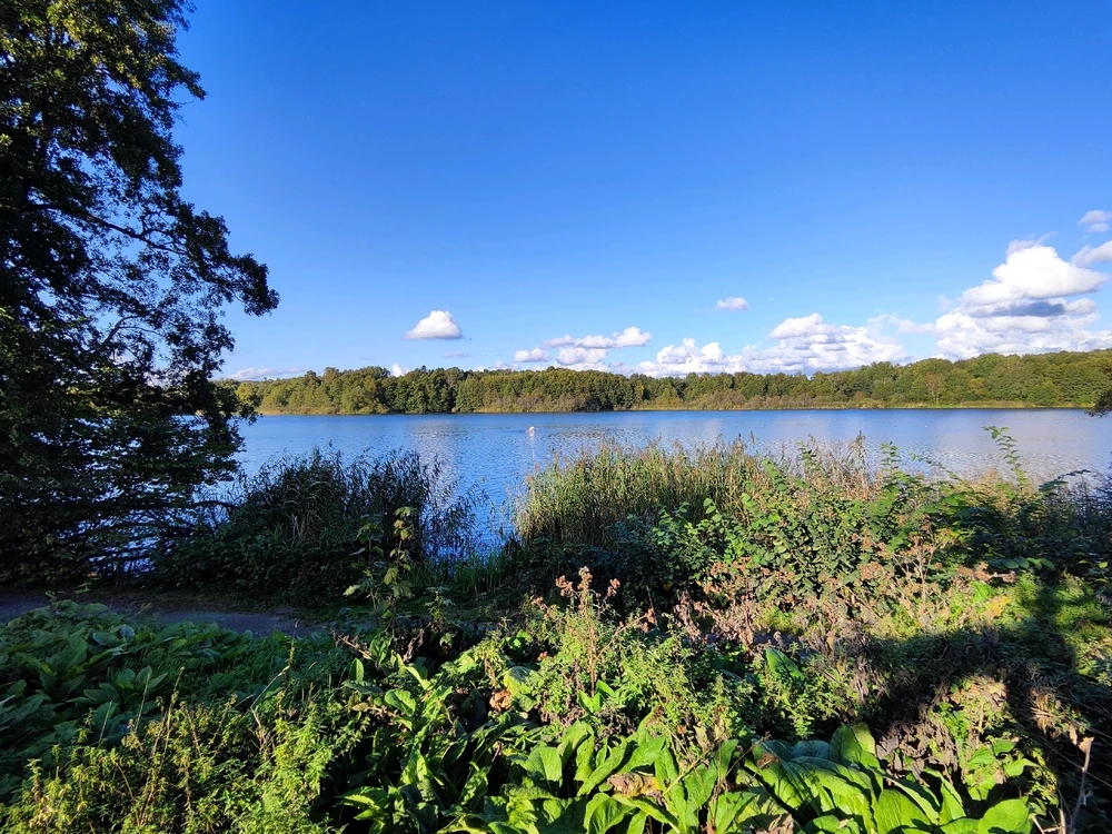 Bild uppladdad av Lee