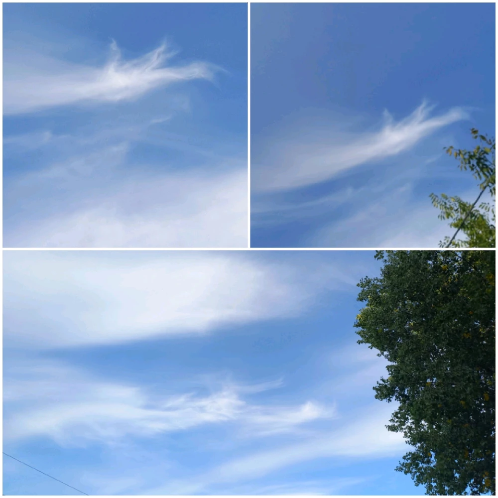 Фото загрузил Анна Аннушка Анюта