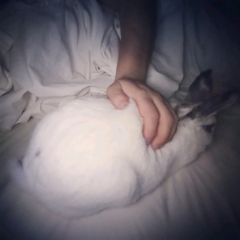 Jack님이 올린 사진