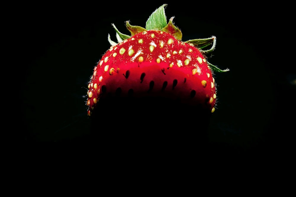 Image ajoutée par Playerone76