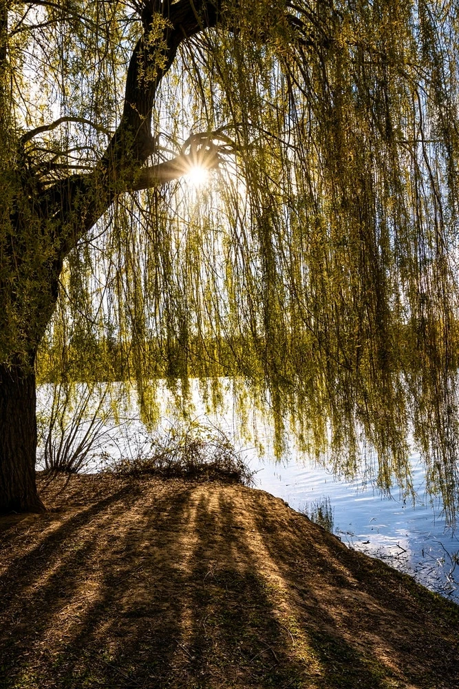 Image uploaded by Nicky