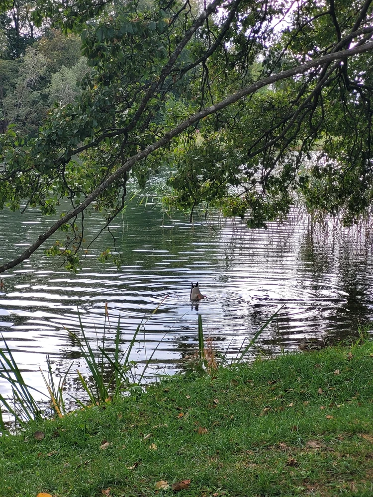 Zdjęcie dodane przez Krzysiek