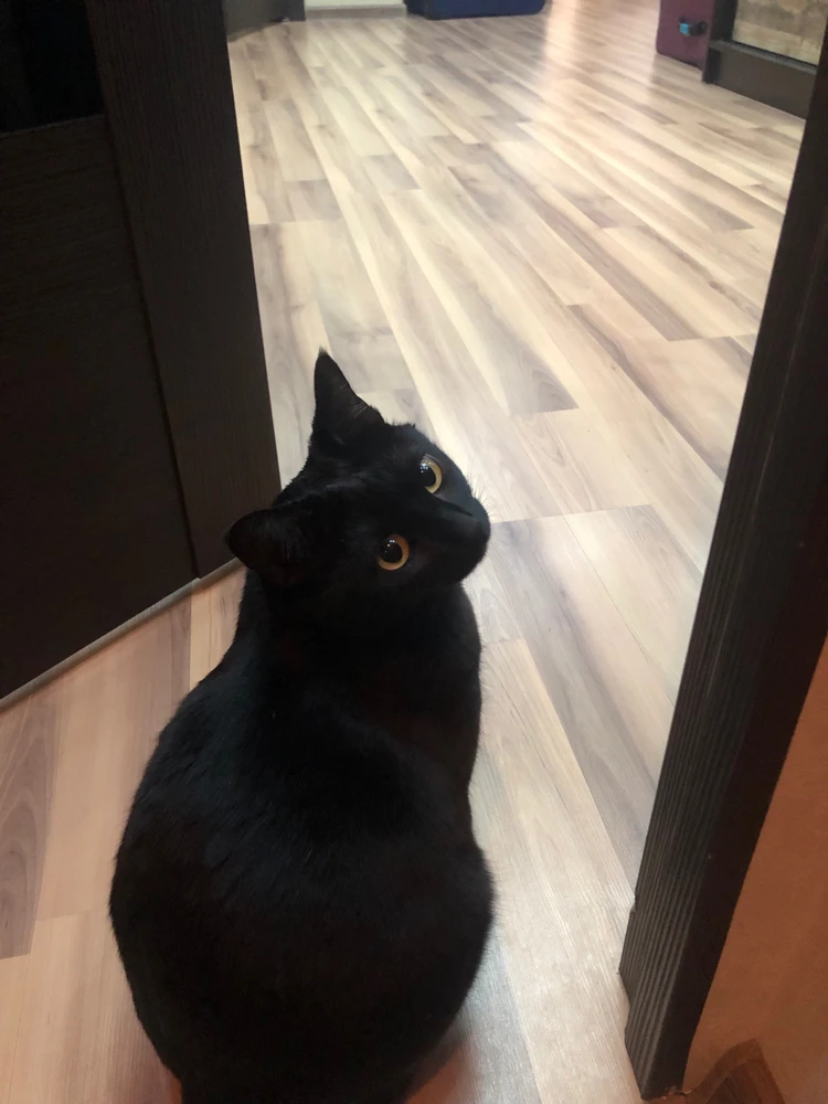 Image uploaded by Mark