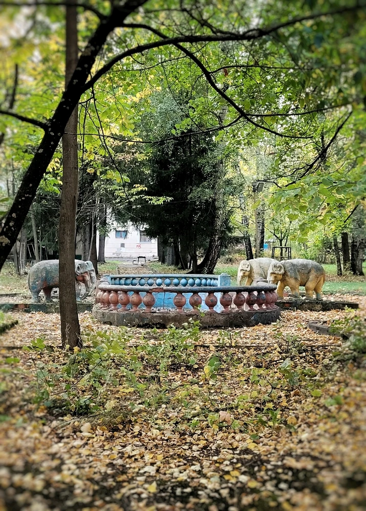 Фото загрузил Александра