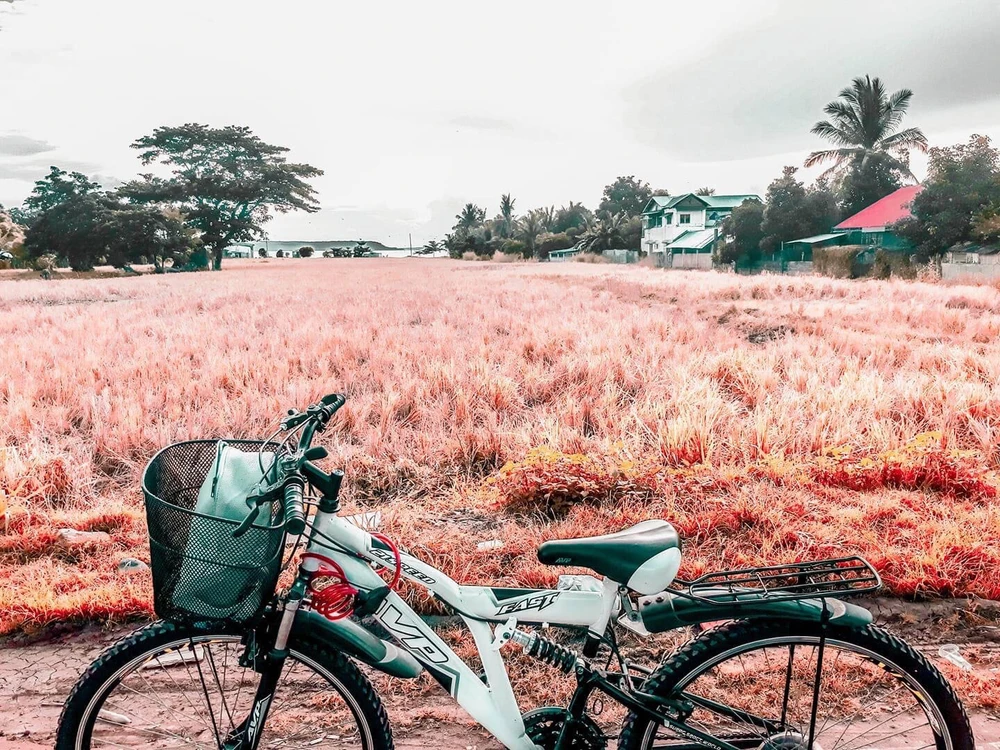 Image uploaded by 🌸🌷Jean Lorraine