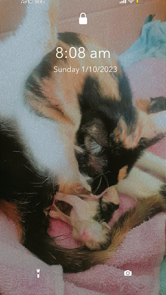 Image uploaded by Nameless