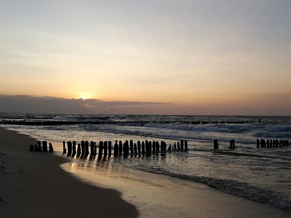 Zdjęcie dodane przez Aureliusz