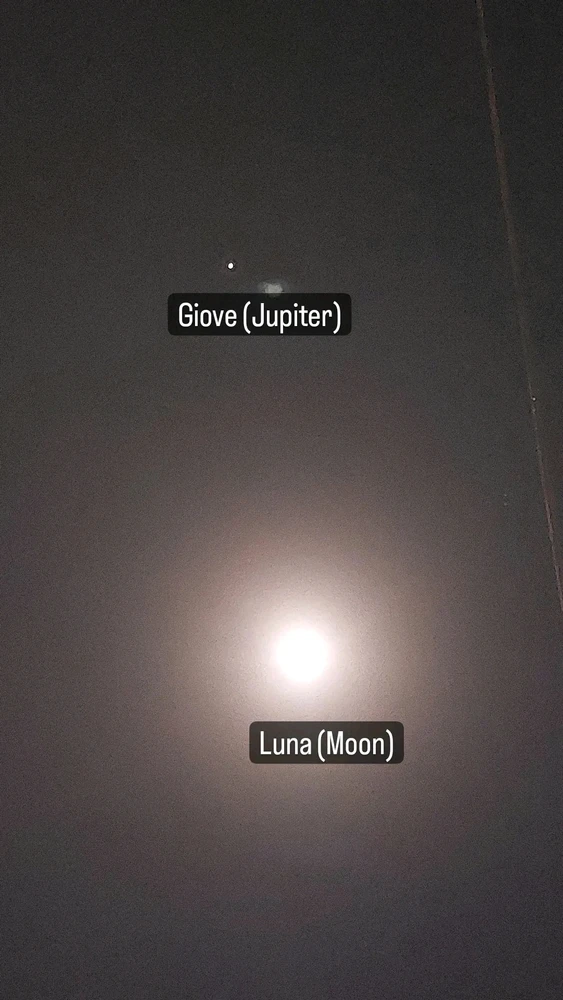 Image uploaded by Shaz