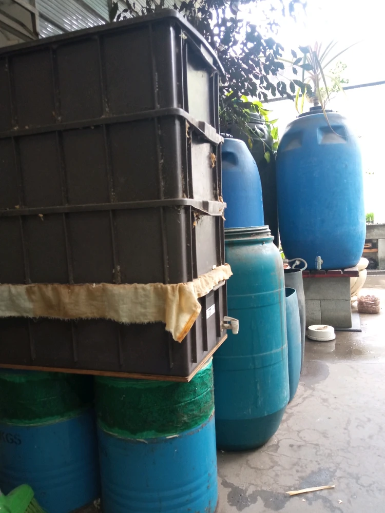 Imagem enviada por Ricardo