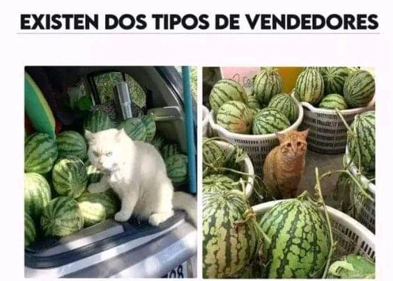Imagen subida por Hludwig