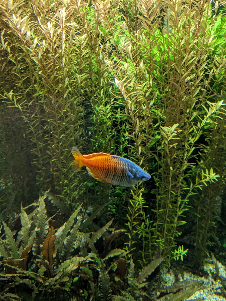 Bild hochgeladen von Reinhold