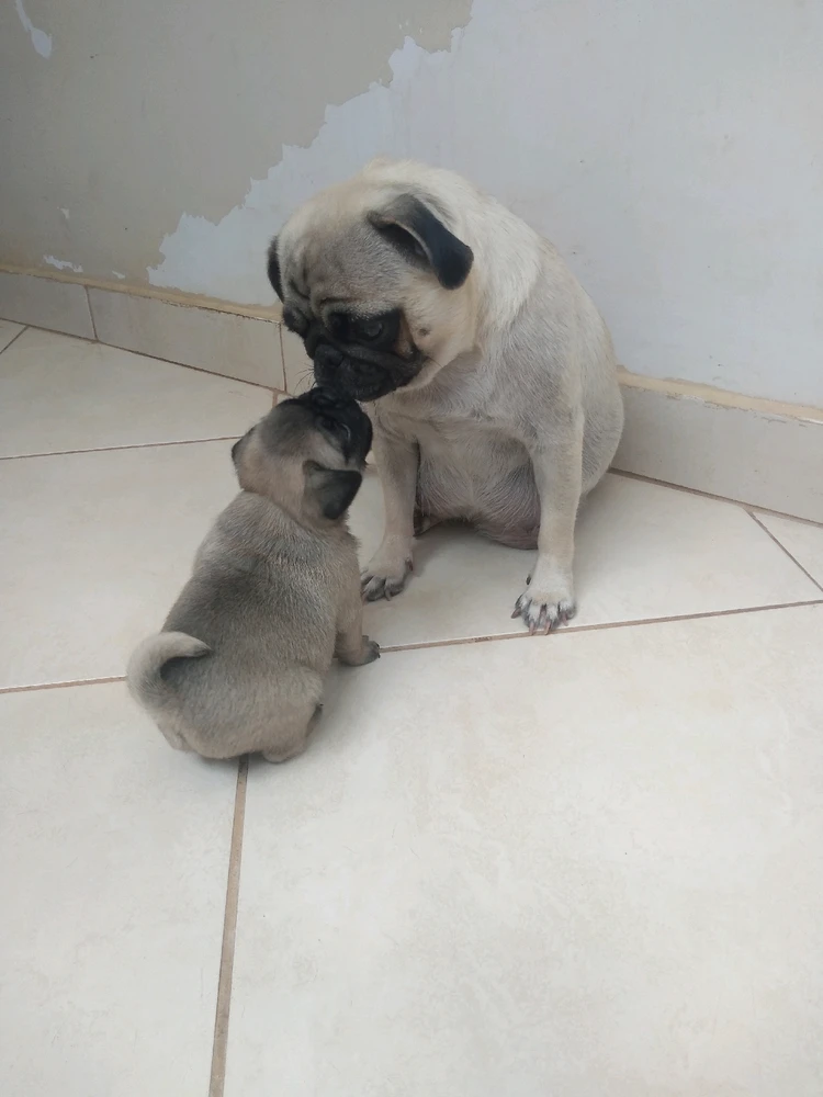 Imagem enviada por Kenya