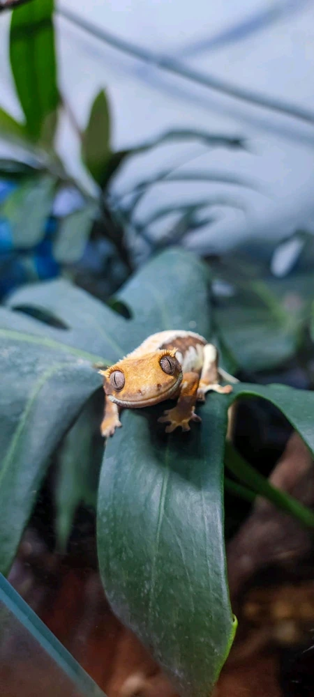 Bild hochgeladen von Matthias