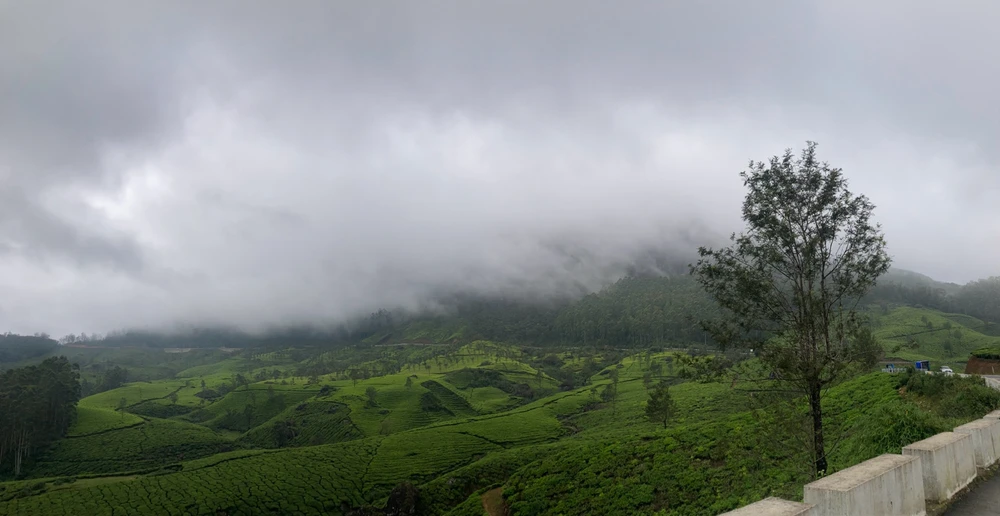 Image uploaded by Anandhu